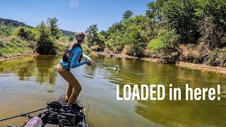 Fishing a Shallow, CLEAR Texas river (GIANT fish everywhere!!)