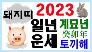 [띠별 일년 운세] 2023 계묘년 돼지띠 운세입니다~ 상담 : 010-9563-2238/사주/운세/역학/철학/주역/관상/풍수지리/주역/육효/철학원