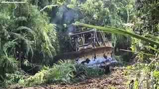 EPIC LAND CLEARING! Massive Trees & Thick Bushes Crushed in SECONDS!