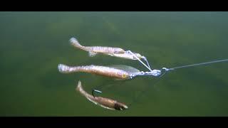 LIVETARGET SPINNER RIG