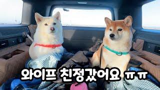 너무 슬퍼서 차박하러 갑니다