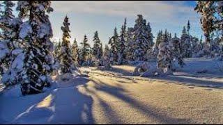 Winterwonderland  -  Peter  Backhausen