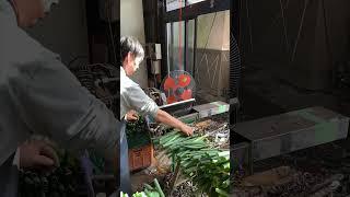 The process of peeling and packaging scallions- Good tools and machinery make the work easy