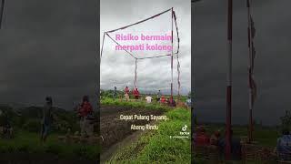 Semua Sudah Resiko Bermain Merpati Kolong #merpatikolong #merpatikolongmeja #lombamerpati #merpati