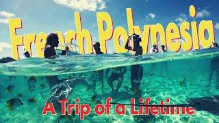 French Polynesia | Best Things to do in 2024