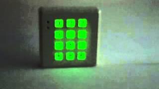 Acetek Keypad with night time glow keys