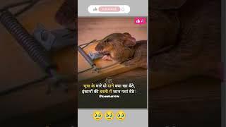 animal death video #status #viral #shortsfeed #viralvideo #video