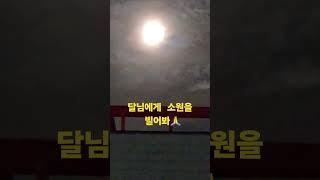 쟁반같이 둥근 달님~~ 소원을 빌어보세요