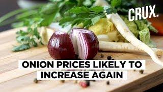 Onion Prices Likely To Increase Again Due to Reduced Kharif Sowing | CRUX