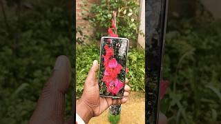 Vivo T2 Pro  5G display #shorts #viral #fixupclub