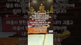 #하안거#일락사#법회#법문#지혜#마음공부