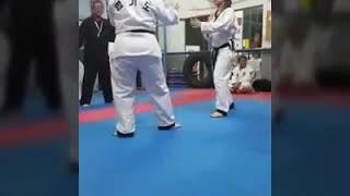 Master CHOI JUNG MUN. The Korea Hapkido Federation