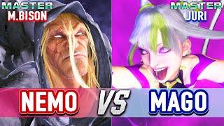 SF6  NEMO (M.Bison) vs MAGO (Juri)  Street Fighter 6 High Level Gameplay