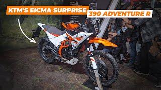 KTM 390 Adventure R Revealed - The Cheap ADV We've Been Waiting For?