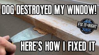 Puppy Destroying Your House?