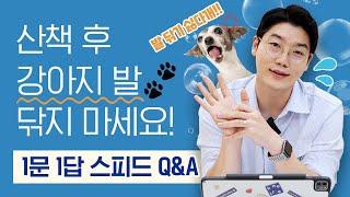 산책 후 최적의 발닦기 방법이 있다고요?   l 1문 1답 Q&A l 설채현 행동학 수의사