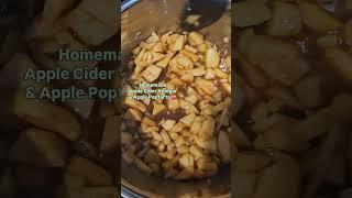 #applecidervinegar #apples #poptarts #homemade #momskitchen #simplerecipes