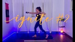 Ignite #2 Intermediate Full Body Workout - Personal Training Program