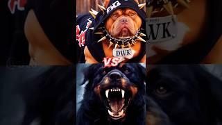 Doberman Vs Pitbull, Rottweiler #shorts #youtubeshorts