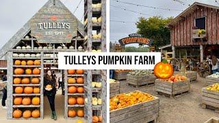 Tulleys PUMPKIN FESTIVAL  | Day trip idea from London