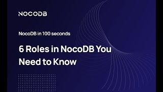 6 Roles in NocoDB You Need to Know