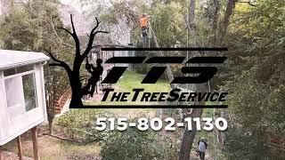 THE TREE SERVICE - "COMMERCIAL" Des Moines, Iowa | GH5 4K Video