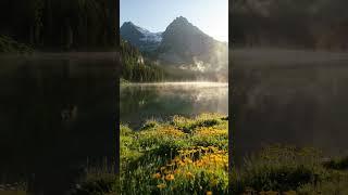 Your Daily Dose of Serenity 律‍️