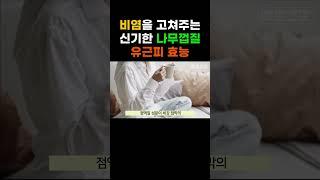 비염에 좋은 유근피 차 효능과 만드는 방법