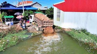 Wonderful a Project! Dump Truck 5Ton Transport Soil Bulldozer D20 Komatsu Pushing clear Grass