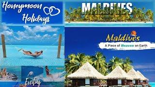 Budget tour packages  ¦ Domestic , international and honeymoon tour packages at low price