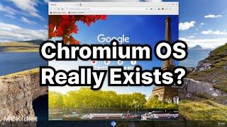 Chromium OS Really Exists!?