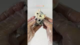 Guess what cute kitten I’m making #cat #squishy #cuteanimal #cute #kitten #handmade
