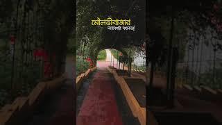 The beauty of Moulvibazar Govt. College | মৌলভীবাজার সরকারি কলেজ |Tomafruz #shorts #nature