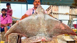 KASIMEDU  MR ARUMUGAM | GIANT DOT STINGRAY FISH CUTTING VIDEO | IN KASIMEDU | FF CUTTING 