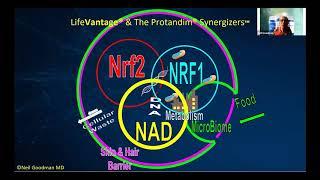 Tri-Synergizer Explained - Dr. Neil Goodman & Dr. Brian Dixon