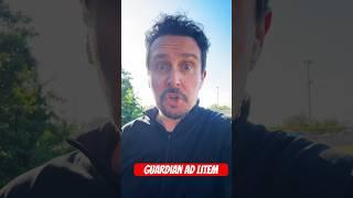 Guardian Ad Litem VS Parent Coordinator in a divorce: Which is better?
