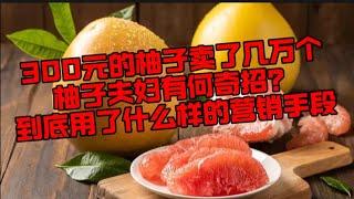 柚子夫妇凭什么300元一个的柚子，一年能卖了几万个？他们的营销手段你学会了也可以年赚几千万！＃做生意＃商业