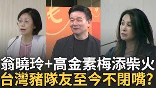 精華｜豬隊友接力推罷免 翁曉玲+高金素梅持續添柴火 于北辰:對說出「我們習近平」的人不用太高標準 feat. #于北辰【94要客訴】20250529｜三立新聞台
