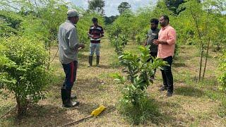 Gulberga Site visit Successfull Farm - ಗುಲ್ಬರ್ಗಾ ಯಶಸ್ವಿ ಫಾರ್ಮ್ - Kolur Dry land Farming,