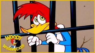 Woody Woodpecker Show | 1 Hour Compilation | Cartoons For Children