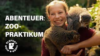  Elefant, Tiger & Kids - Staffel 2 in der ARD Mediathek | SWR Plus