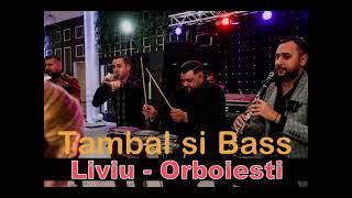 Sistemul Tambal si bass 2010-Liviu de la Orboiesti manele live