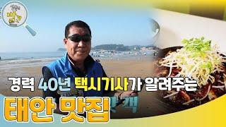 경력 40년 택시기사가 알려주는 충청남도 태안군 맛집!  [생활의 발견] | KBS 241021 방송