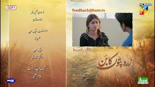 Zard Patton Ka Bunn - Episode 23 Teaser - [ Sajal Ali & Hamza Sohail ] - HUM TV