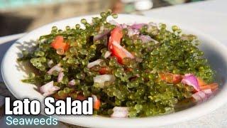 Ensaladang Lato —Seagrapes Salad #lato #arosep #seagrapes