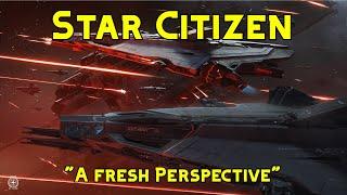 Star Citizen : "A different outlook on the game"