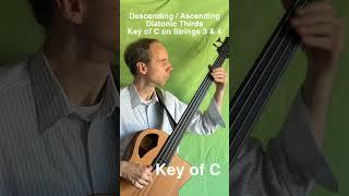 Descending and Ascending Diatoic Thrids in the Key of C on Strings 3 & 4 #jazz #bass #basspractice