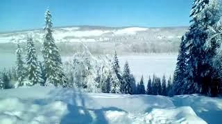 Аллея п. Зеленогорский