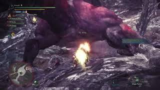 MHW anti-cluster speed run with regular set up excluding healer role