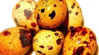 ПЕРЕПЕЛИНЫЕ ЯЙЦА ВРЕД | перепелиные яйца вред для печени, перепелиные яйца холестерин,
